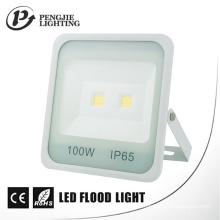 New Design White Reflector 100W High Lumen 70-80lm/W COB LED Flood Light